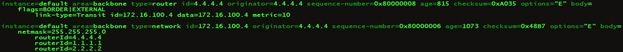 Фрагмент детализации LSDB на R4 Фрагмент детализации LSDB на R4